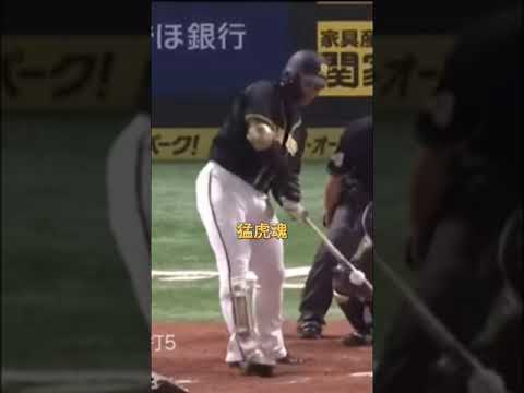 元阪神タイガース髙山俊応援歌#shorts#阪神タイガース