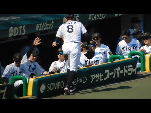 【4番の仕事】同点タイムリーを放った佐藤輝明をハイタッチで迎える阪神ナイン