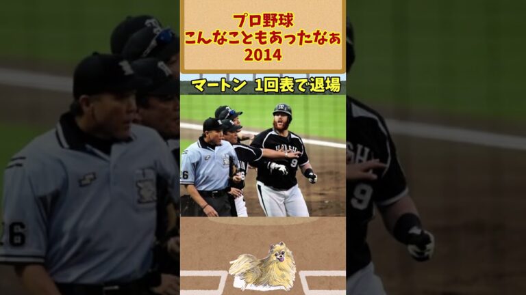 プロ野球こんなこともあったなぁ【2014】
