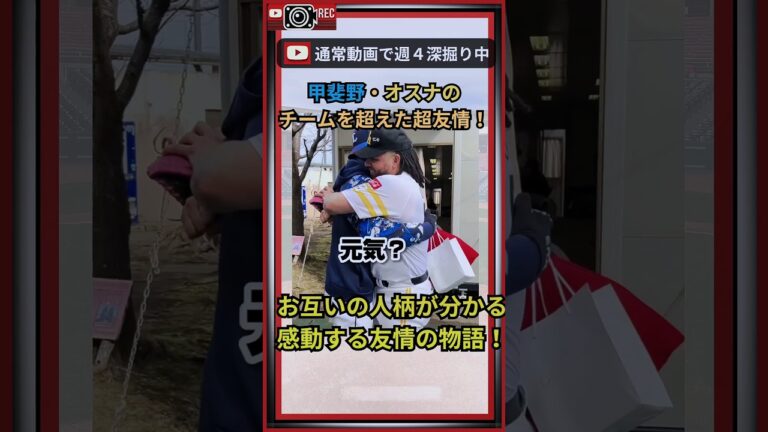 【神動画】甲斐野、オスナのチームを超えた友情物語！これぞ絆！　#shorts#野球#npb#福岡ソフトバンクホークス#埼玉西武ライオンズ