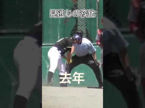 【オレハラ】去年と今年の見逃しの変化 #shorts #baseball #野球 #batting #バッティング #野球のミカタ #打撃探究部屋