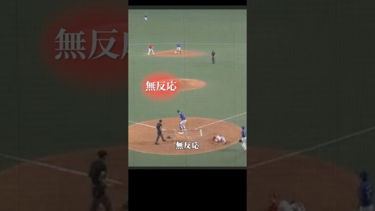 幻のホームインで球場は大騒ぎに #プロ野球 #野球