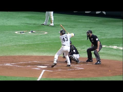 井上朋也が待望のプロ初打席！