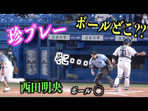 ボールが消えた!?打球がどこに行ったか分からなくなる西田明央【東京ヤクルトスワローズ】