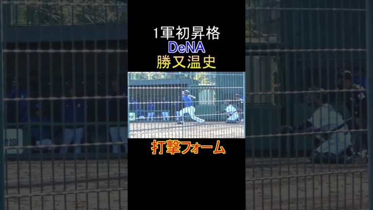 【1軍初昇格】DeNA勝又温史の打撃フォーム #勝又温史 #dena #プロ野球 #打撃フォーム