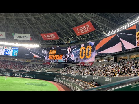 2025.3.22 渡邉陸 登場曲 (少年／GRe4N BOYZ)