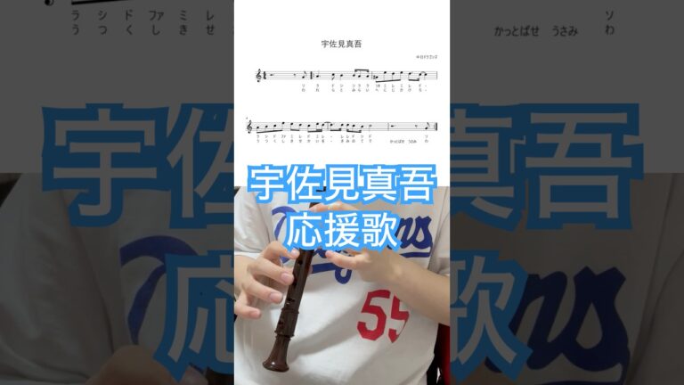 「宇佐見真吾応援歌」リコーダーで吹いてみた#中日ドラゴンズ