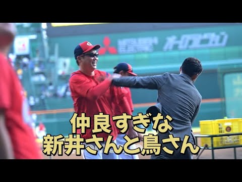 仲良すぎな新井監督と鳥谷敬さん