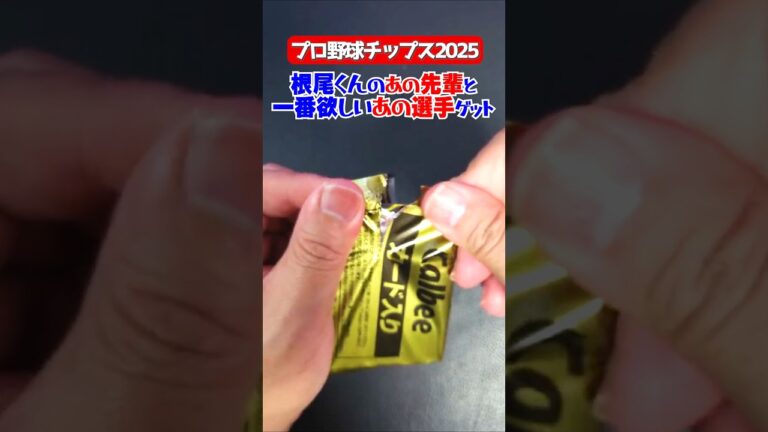 【プロ野球チップス】根尾くんの先輩とセ・リーグで1番欲しいあの選手ゲット【2025第1弾】