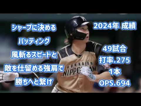 淺間大基【1時間耐久】応援歌 広告なし 作業用 睡眠用 歌詞つき 日ハム 北海道日本ハムファイターズ 現地音源 ハモり