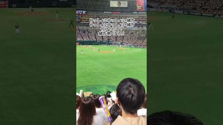 20240420 緒方理貢⚾2打席目@福岡PayPayﾄﾞｰﾑ