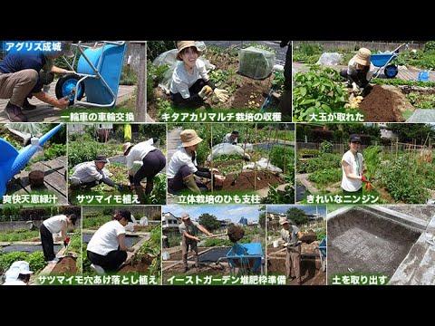 菜園だより250601アグリス成城