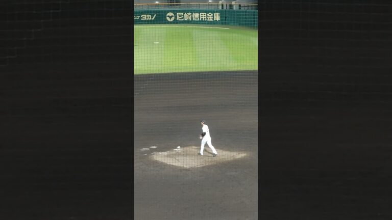 阪神タイガース川原陸投手の投球練習　#野球 #阪神タイガース #川原陸