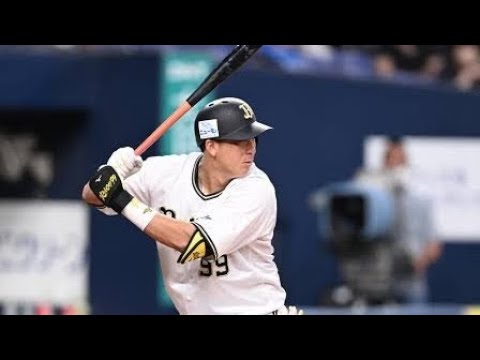 「杉本裕太郎、異例の企業おねだりで交流戦を盛り上げる！オリックス勝利の舞台裏」