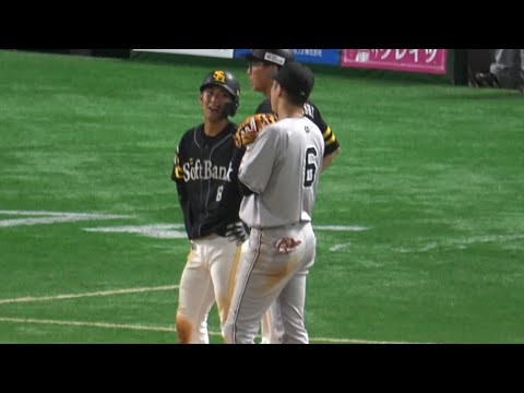目を輝かせながら、坂本勇人に話し掛けるホークス今宮健太❤️ホークス対巨人