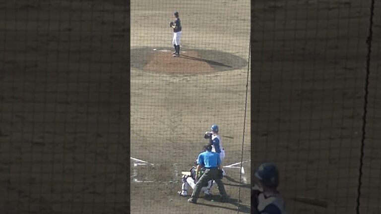 ファイターズ矢澤宏太を三振にとる阪口皓亮〜2024年9月4日 日本ハムファイターズ対ヤクルトスワローズ