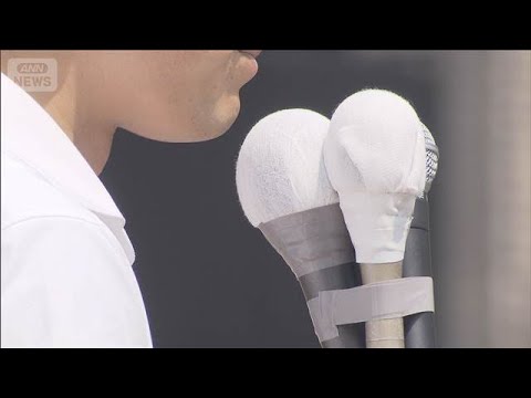 参院選 東京選挙区 7議席めぐり混戦　鈴木候補リード 下位は横一線(2025年7月6日)