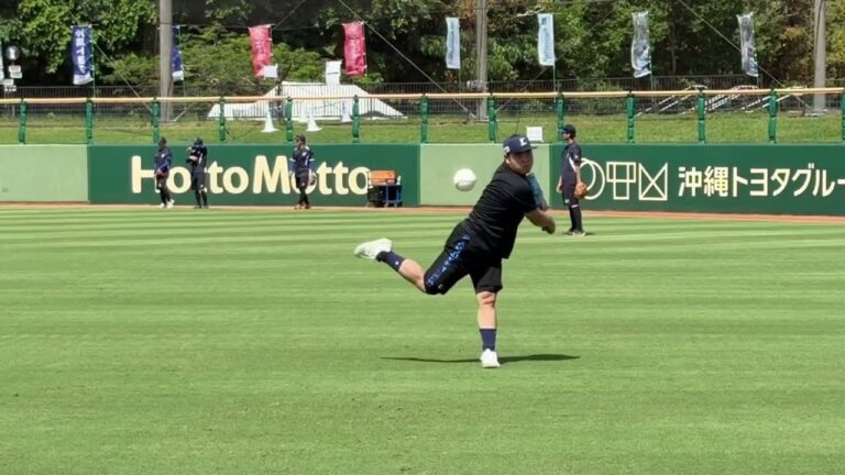 【野球】平良フォームスローと軌道