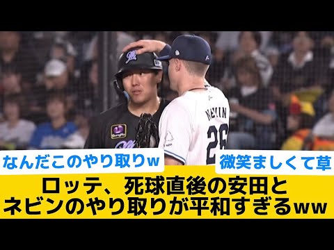 【平和やなw】ロッテ、死球直後の安田とネビンのやり取りが平和すぎるww【千葉ロッテマリーンズ】【プロ野球反応集】