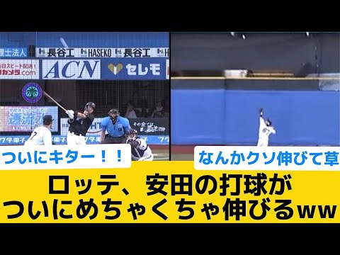 【覚醒】ロッテ、安田の打球がついにめちゃくちゃ伸びるww【千葉ロッテマリーンズ】【プロ野球反応集】