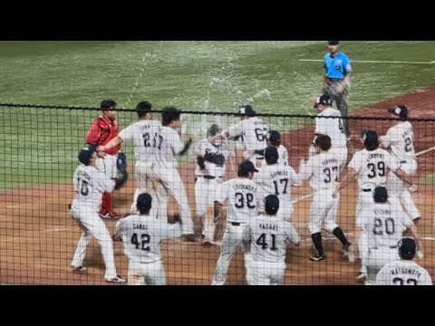 赤羽由紘の第2号逆転サヨナラ3ランホームラン判定で盛り上がる神宮球場！スワローズ４連勝！