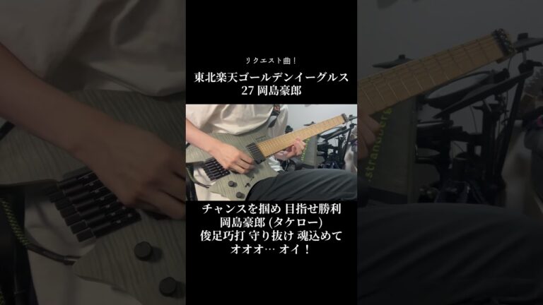 東北楽天ゴールデンイーグルス　岡島豪郎　応援歌　ギター