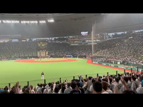 西武ライオンズ 長谷川信哉応援歌