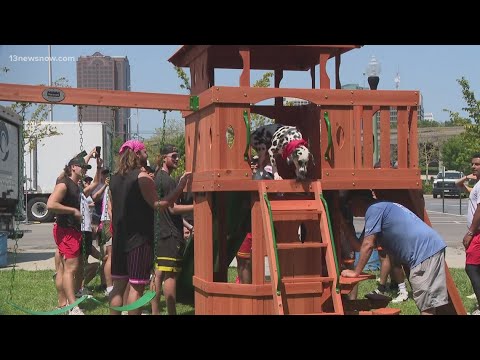 Savannah Bananas baseball players and nonprofit team up to build Chesapeake boy's playset