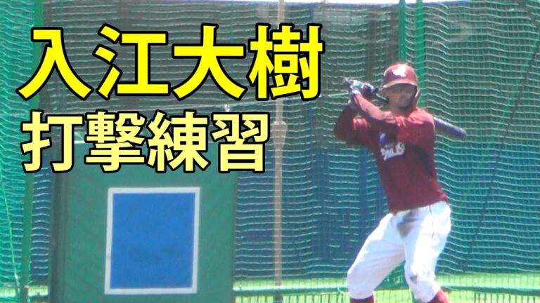 入江大樹(楽天)　打撃練習　鎌ヶ谷スタジアム　2025.7.29