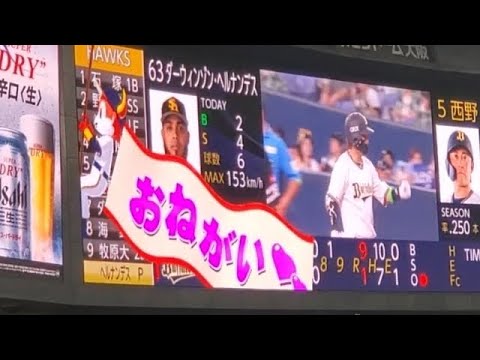 20250708　西野真弘　ﾋﾞｼﾞｮﾝ演出　8回ｳﾗ　ｵﾘｯｸｽ･ﾊﾞﾌｧﾛｰｽﾞ@京ｾﾗﾄﾞｰﾑ大阪･ﾚﾌﾄ外野下段 Bsｵﾘ姫ﾃﾞｰ2025