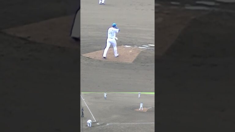 日ハム 松本 遼大の投球フォームと球筋【日本ハムファイターズ対 横浜DeNAベイスターズ2024年5月8日】