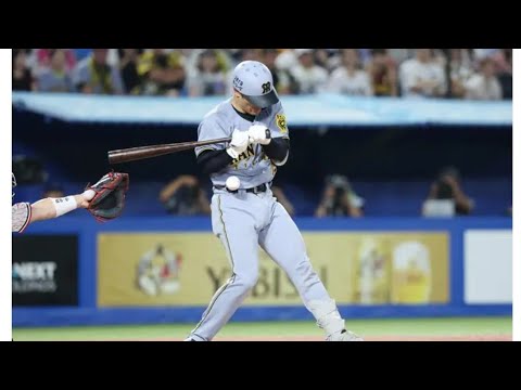 【阪神】坂本誠志郎が珍しく怒りあらわ　木沢尚文の厳しい内角攻めで死球　にらみつける