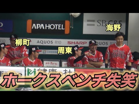 ホークスベンチ🤣周東＆柳町爆笑😂試合開始直前🤣「海野選手、ミスなしでキャッチできるように頑張ってください」とまさかのお子様からのメッセージに海野隆司タジタジ🤣鷹祭サマーブースト2025🔥