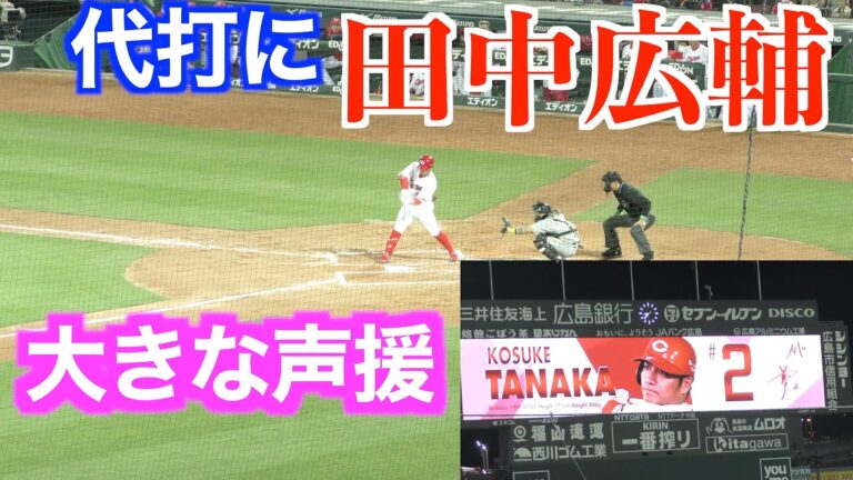 代打田中広輔選手にスタンドが湧き、ヒット性のファールを放ち歓声が更にUP、レフトフライに打ち取られるも拍手喝采