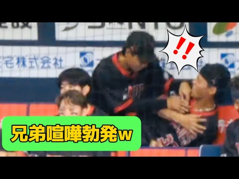 【兄弟喧嘩勃発！！】容赦ない弟と嬉しそうな兄(笑）#オリックス #オリックスバファローズ #オリックスファン #オリックスベンチ #石川亮 #渡部遼人