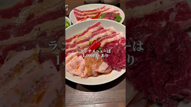 【福岡グルメ】デートにおすすめ焼肉ランチ #shorts #吉田凌基 #kintan