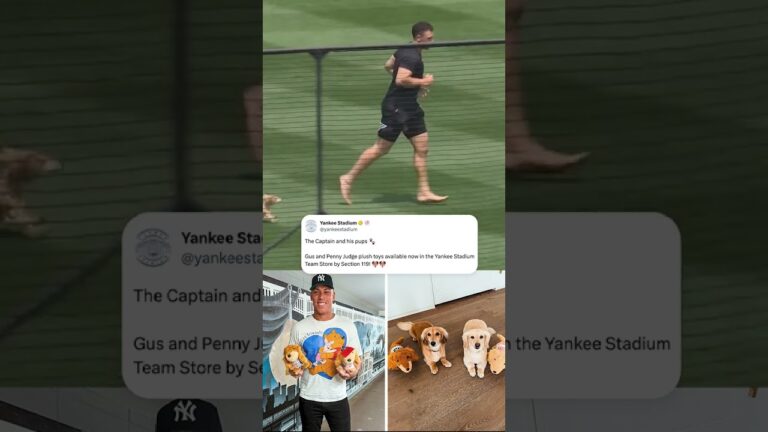 ヤンキースタジアムはガスとペニージャッジの豪華なおもちゃを販売しています（yankeestadium/x経由）