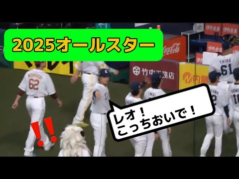 【オールスター2025】レオ君と仲良すぎる友達多い甲斐野央#オールスターゲーム #甲斐野央 #西武ライオンズ