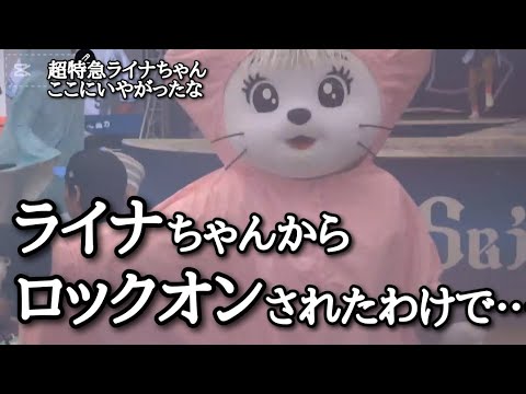 毎回ライナちゃんに狙われる…　次回はライナちゃんのぬいぐるみを見せたらどうなるかな!?