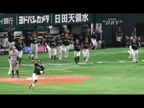 ホークスベンチMAXボルテージ‼️牧原大成が決めた‼️ホークスサヨナラ勝ち😉2025.8.17⚾️ホークス対千葉ロッテ