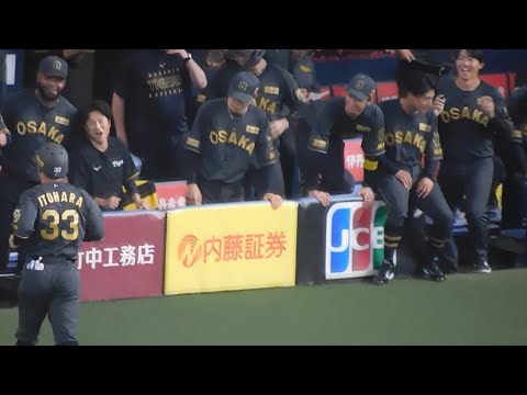 【必殺仕事人】糸原健斗 勝ち越しタイムリーを放ちベンチへ ベンチ総出で出迎える