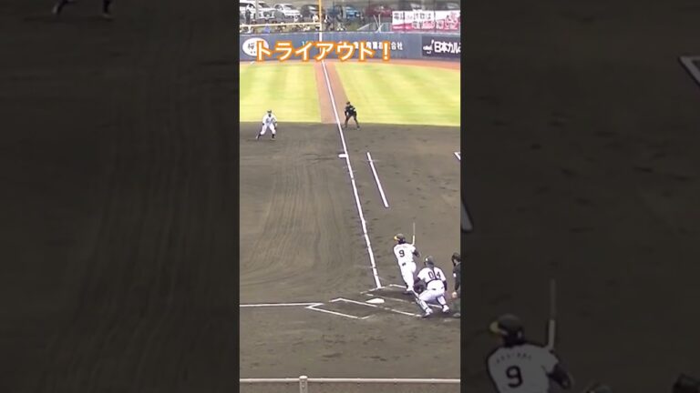 タイガース髙山俊ライトへ二塁打結果を残す！【プロ野球12球団合同トライアウト2023年11月15日】