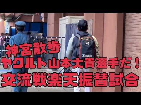 ヤクルトスワローズ山本大貴選手だ！レディースDAYが振替日で復活わくわく神宮散歩（2023年6月20日）