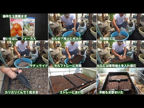 車庫上園芸250902極早生玉葱種まき