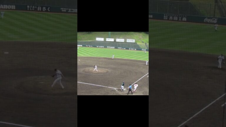 グリフィン 三ツ俣大樹から見逃し三振奪う2024年5月29日 読売ジャイアンツ対ヤクルトスワローズ