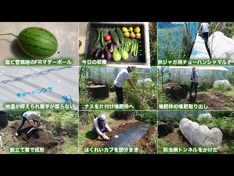 菜園だより250908畝立て・カブまき