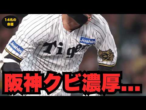 阪神タイガース14人の命運：戦力外か残留か。藤川体制の決断 #阪神タイガース #戦力外 #藤川球児