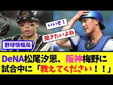 DeNA松尾汐恩、阪神梅野に試合中に「教えてください！」【ネット情報局】