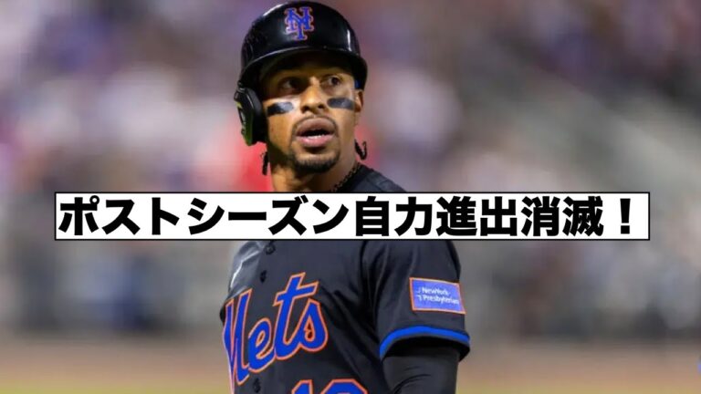 メッツがやばい！レッズが来た！ファンインタビュー！音声トラック：英語（US）(オリジナル)