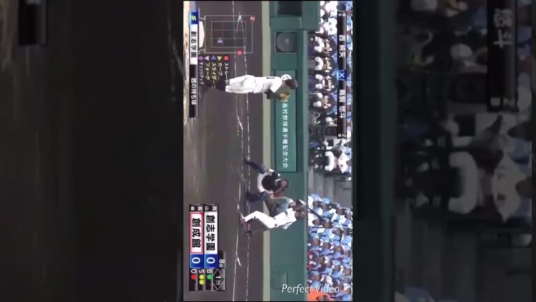 【新選手①】阪神ドラフト1位西純矢投手(創志学園)奪三振集